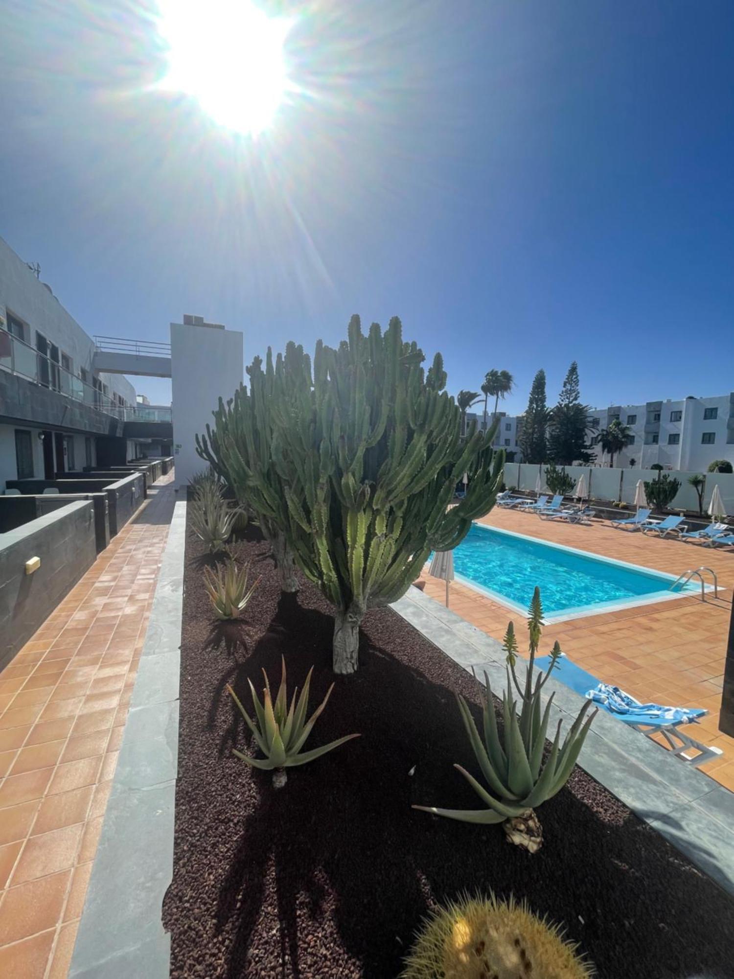 Sunrise Corralejo Apartman Kültér fotó